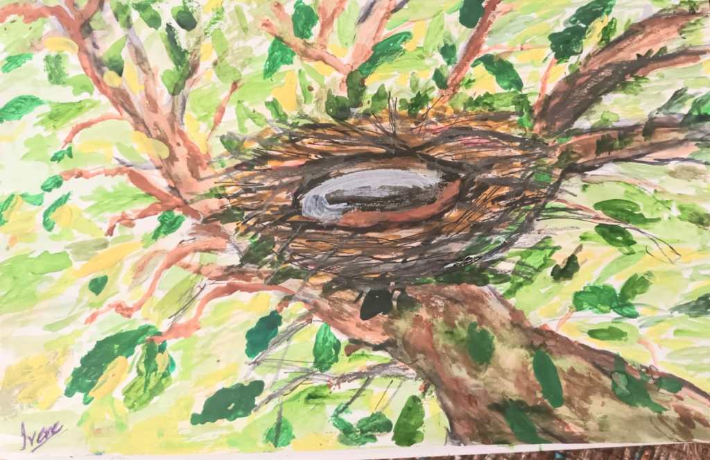 Finding purpose when the nest is empty